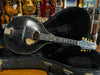 Gibson Style A Mandolin Black 1924