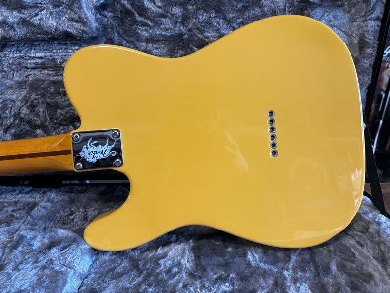 Fender Britt Daniel Telecaster Thinline Amarillo Gold 2019