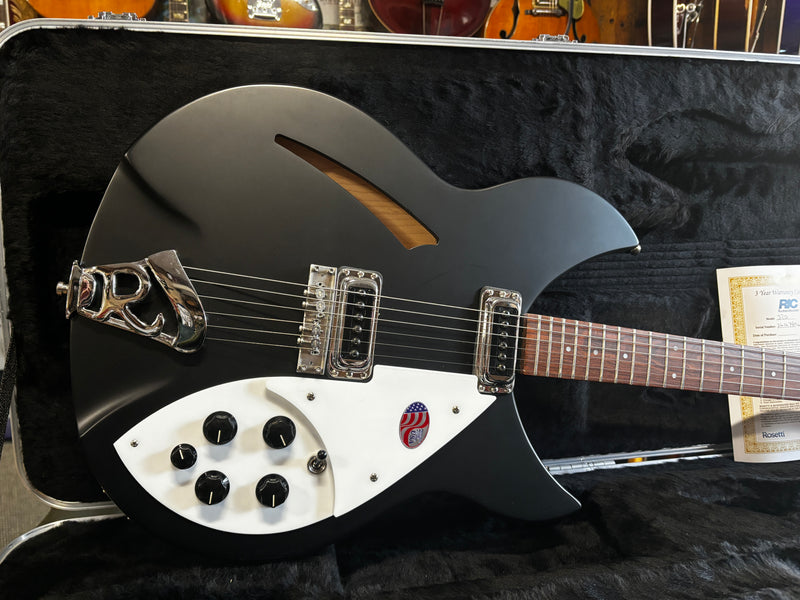 Rickenbacker 330 Matte Black 2024