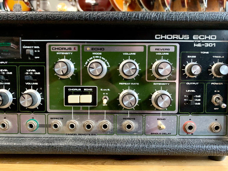 Roland RE-301 Chorus Echo