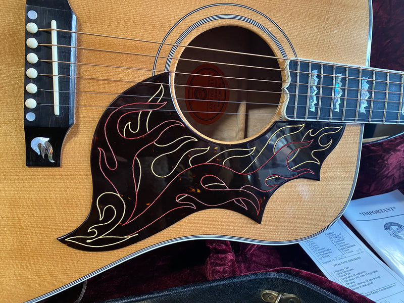 Gibson Firebird Custom Acoustic 2001