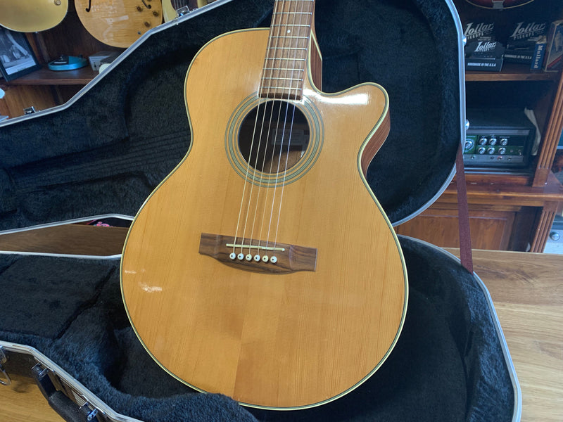 Takamine EG260